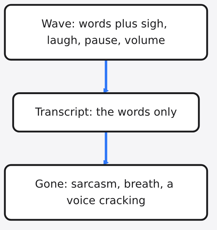 Diagram: Wave: words plus sigh, laugh, pause, volume → Transcript: the words only → Gone: sarcasm, breath, a voice cracking