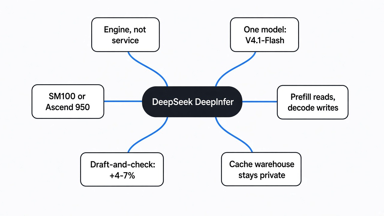 Simple mind map of DeepSeek DeepInfer: engine not service, one model, SM100 or Ascend 950, prefill reads and decode writes, draft-and-check gains, cache warehouse stays private