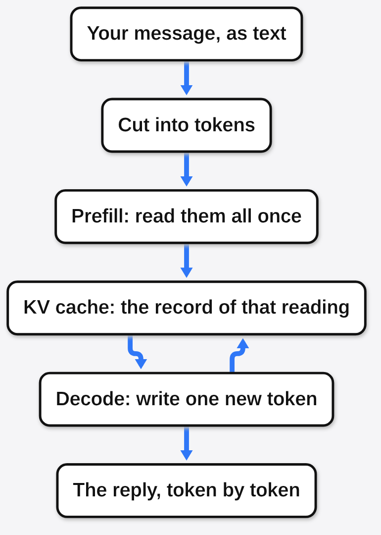 DeepSeek DeepInfer prefill reads the message once into the KV cache, then decode writes the reply one token at a time