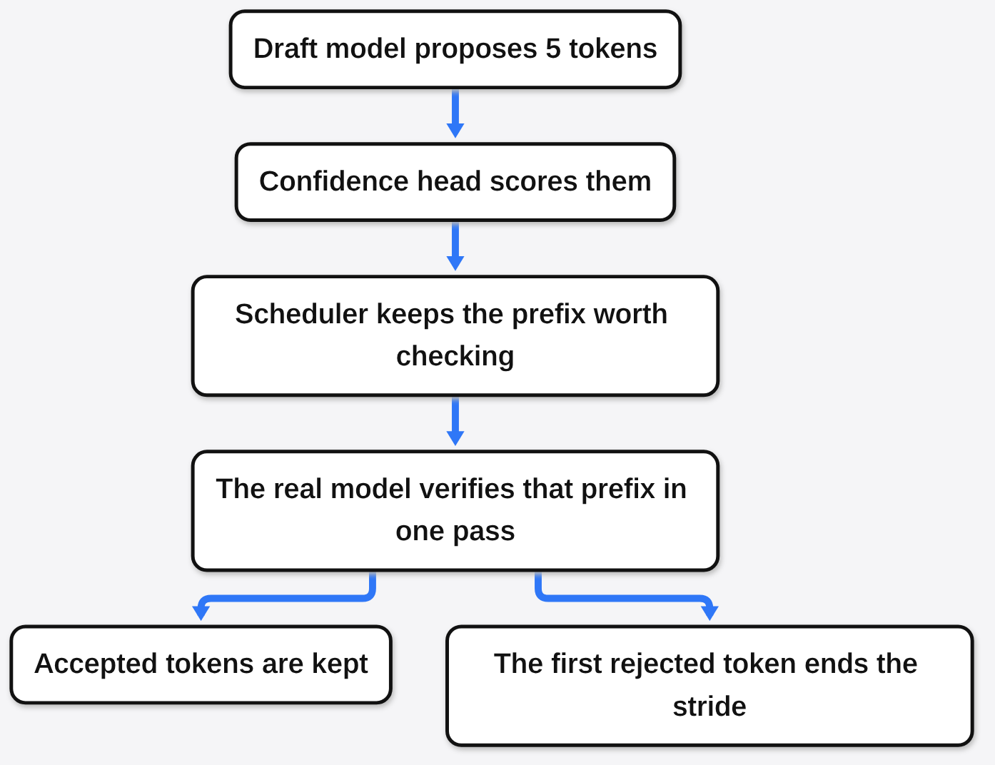 A draft model proposes 5 tokens, a confidence head scores them, and the real model verifies only the prefix worth checking