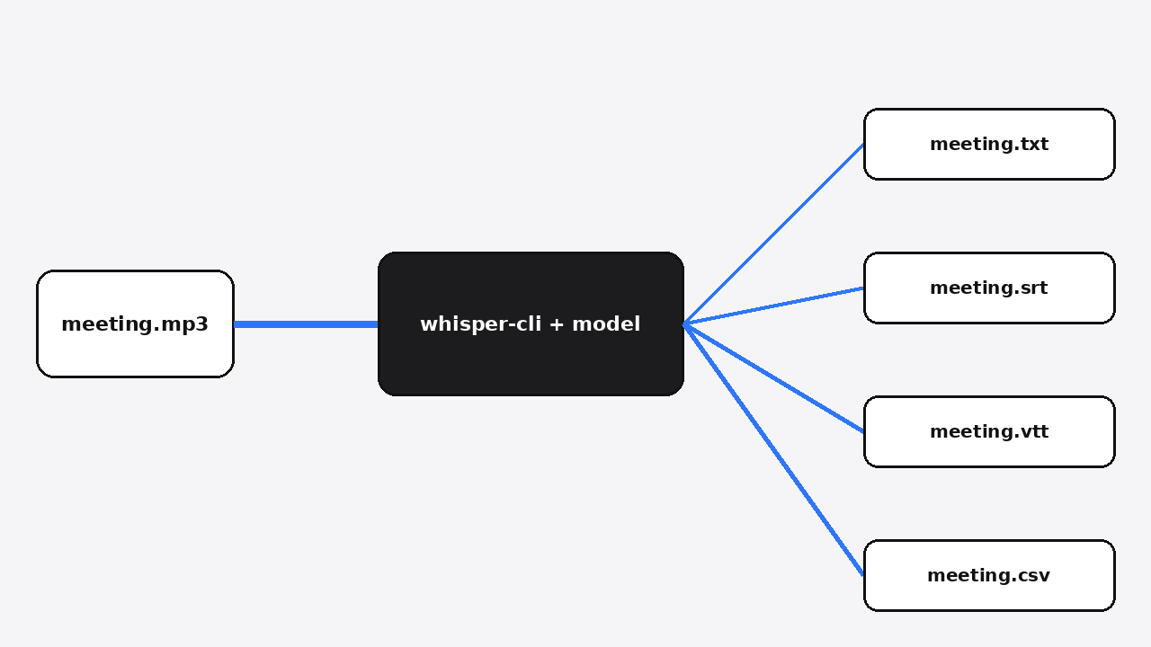 whisper-cli output flags: -otxt makes a text file, -osrt and -ovtt make subtitles, -ocsv makes a spreadsheet