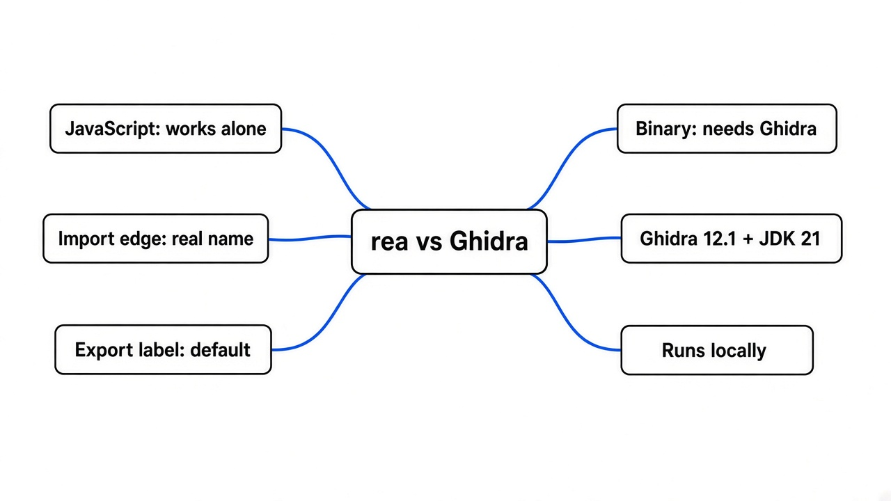Simple mindmap of rea vs Ghidra: JavaScript works alone, the import edge keeps the real name, the export label says default, binaries need Ghidra 12.1 and JDK 21, runs locally